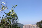 藍天