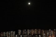 Moonlight 
