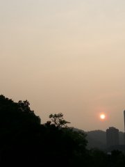 鹹蛋黃