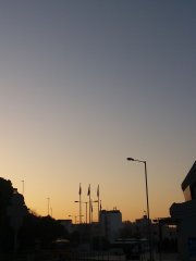 morning