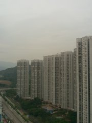 早上的天水圍