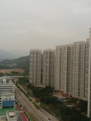 早上的天水圍