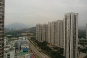 早上的天水圍
