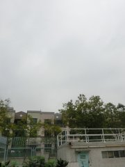 天