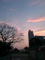 空中錦鯉在賽跑