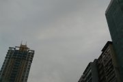 蒙茶茶