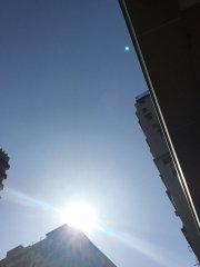 Sunny