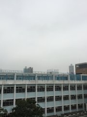 Foggy