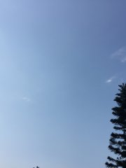 Sunday Afternoon