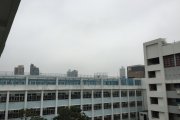 Foggy