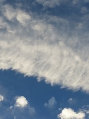 網狀捲雲