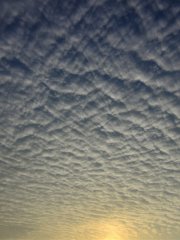 魚鳞雲