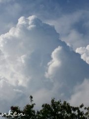 積雲
