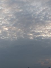 魚鳞雲