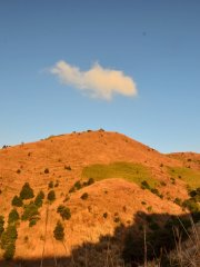 山中獨雲
