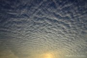 魚鳞雲