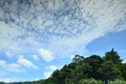 高積雲