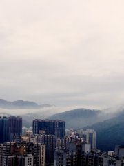 山雨欲來風滿樓