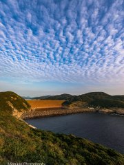 東壩魚鱗