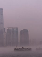 海霧