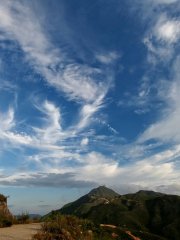 羽狀雲