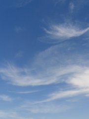 雲