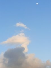 欲上九天攬月
