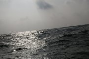 浪裡雲光