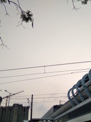 月落