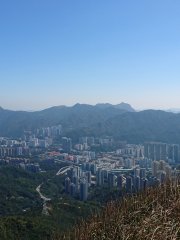 針山