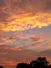 大帽山腰觀雲霞