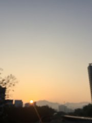 Sunny morning