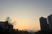 Sunny morning
