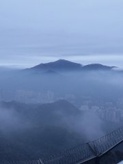 雲海