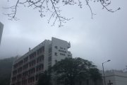 霧鎖慈雲 