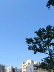 藍天白雲