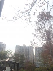 白色天空