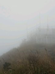 飛鵝大霧