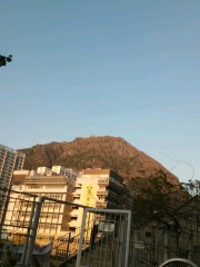 飛鵝藍天