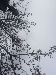 灰色天空