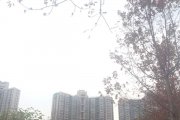 白色天空
