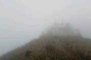 飛鵝大霧