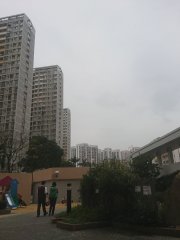 觀察