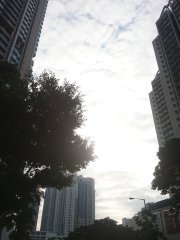 觀察