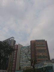 相片