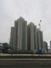 相片