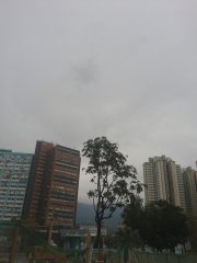 相片