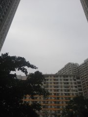 觀察
