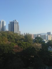 觀察