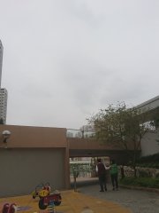 觀察